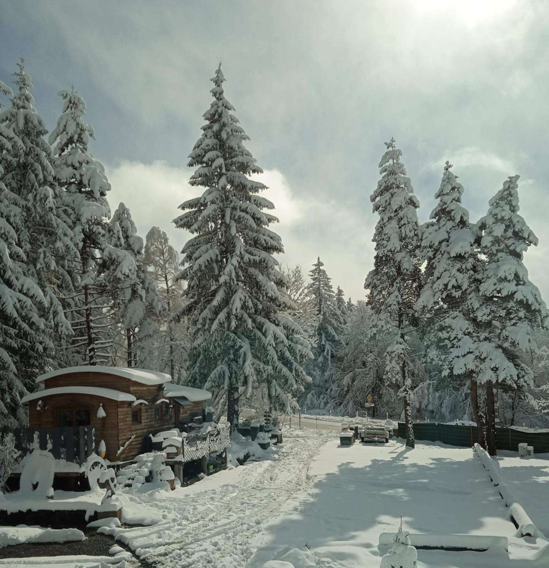 Chalet grenouille Champclause Buitenkant foto